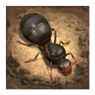 The Ants: Underground Kingdom